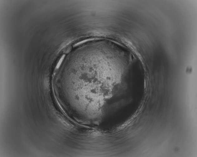 X0000097850249200803281255