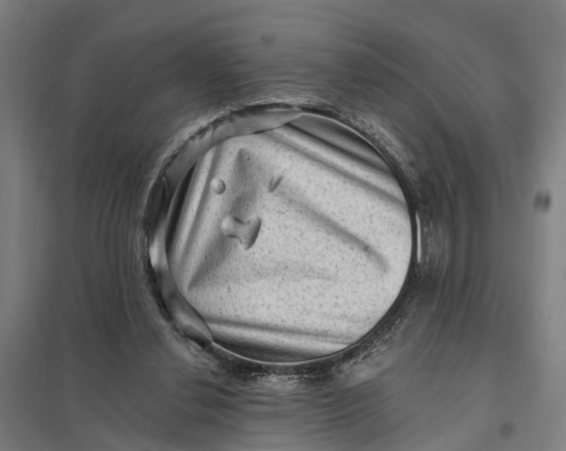 X0000097850252200803281255