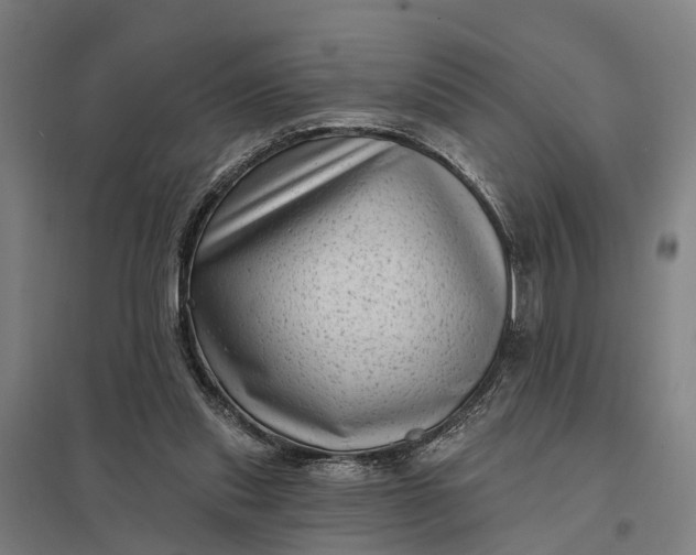 X0000097850253200803281255