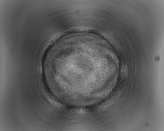 X0000097850254200803281255