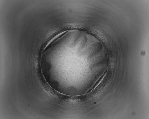 X0000097850255200803281255