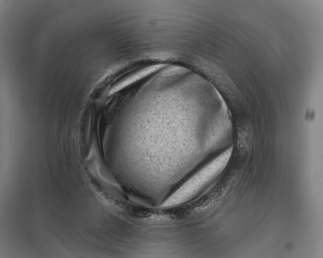 X0000097850256200803281255