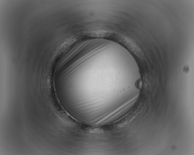 X0000097850258200803281256