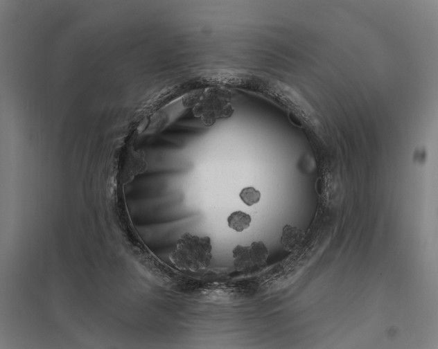 X0000097850259200803281256