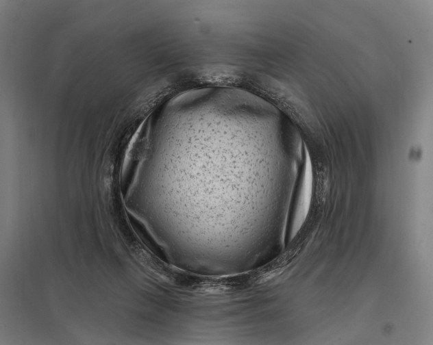 X0000097850263200803281256