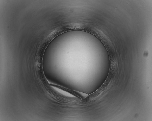 X0000097850264200803281256