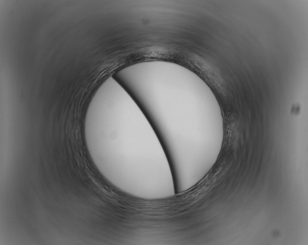 X0000097850265200803281256