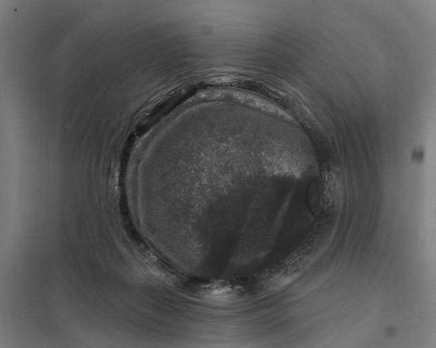 X0000097850267200803281256