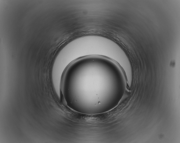 X0000097850268200803281256