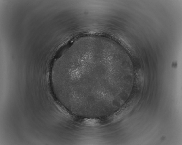 X0000097850269200803281256