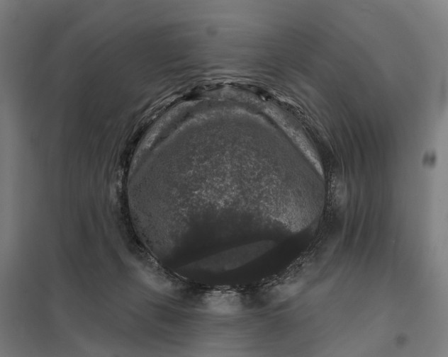 X0000097850271200803281256