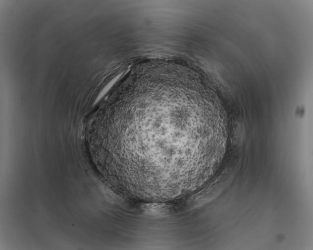 X0000097850273200803281256