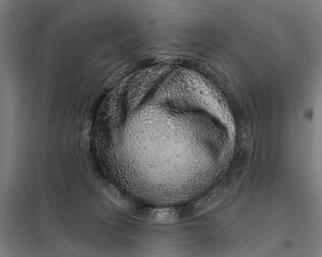 X0000097850275200803281256