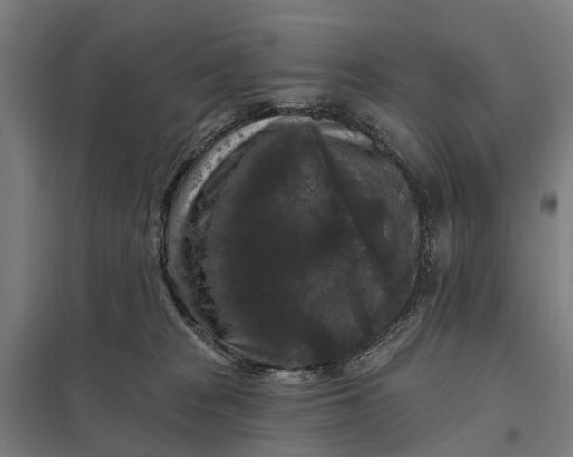 X0000097850277200803281256