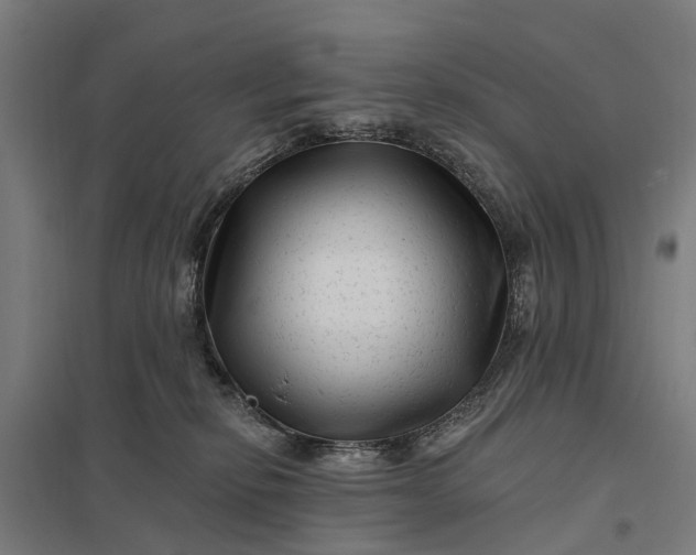 X0000097850278200803281256