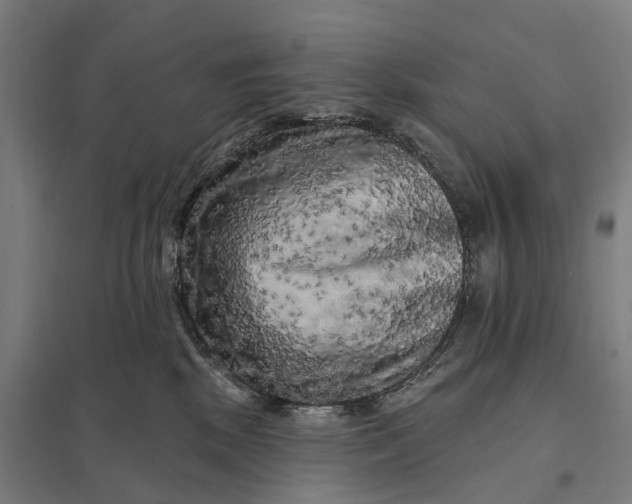 X0000097850281200803281256