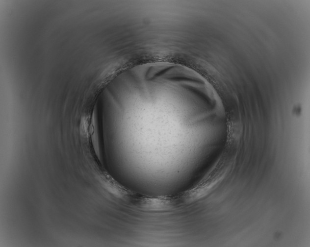 X0000097850286200803281256