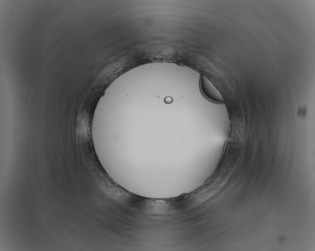 X0000097850287200803281256