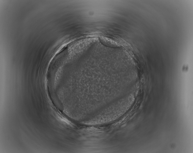 X0000097850290200803281255