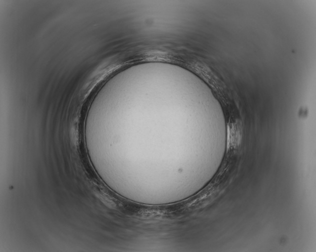 X0000097850291200803281255