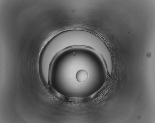 X0000097850292200803281255