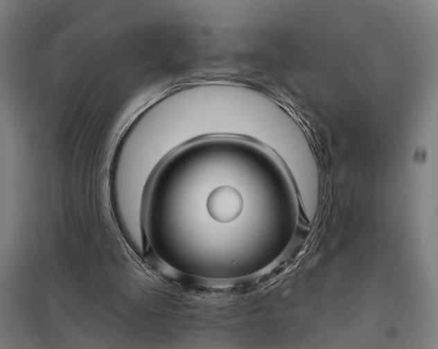 X0000097850293200803281255