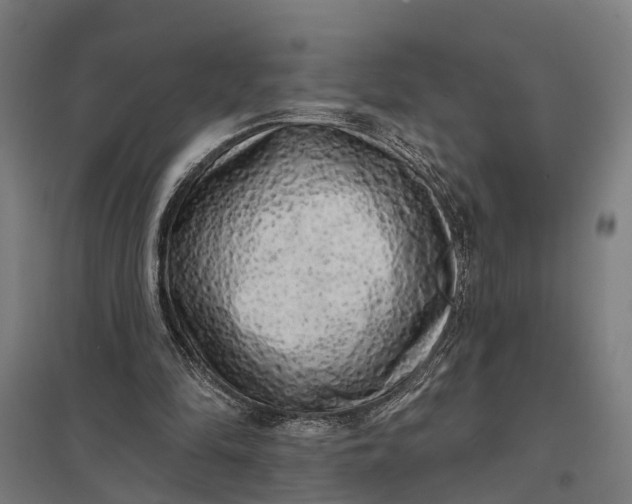 X0000097850294200803281255