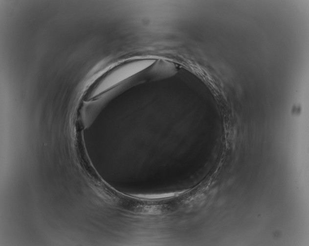 X0000097850295200803281255