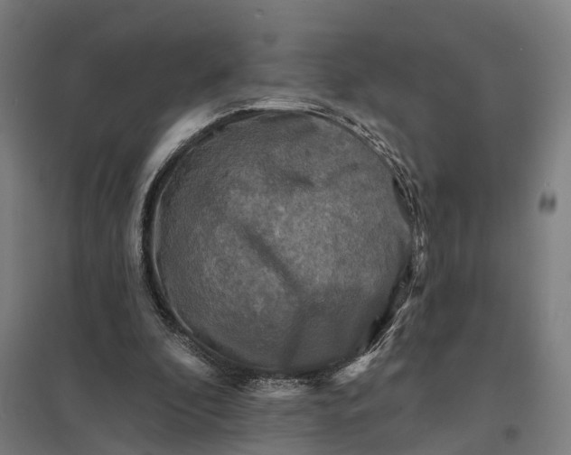 X0000097850296200803281255