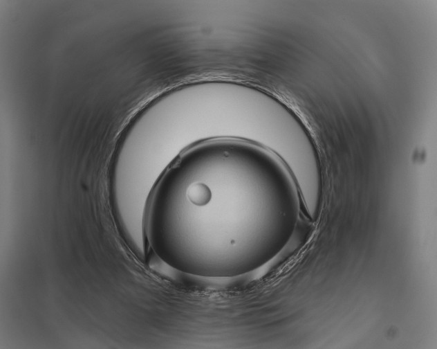 X0000097850297200803281255