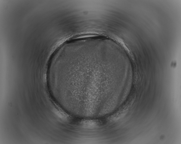 X0000097850299200803281255