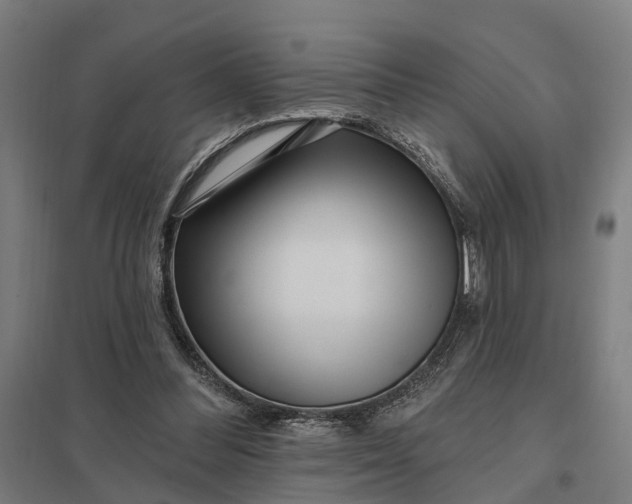 X0000097850300200803281255