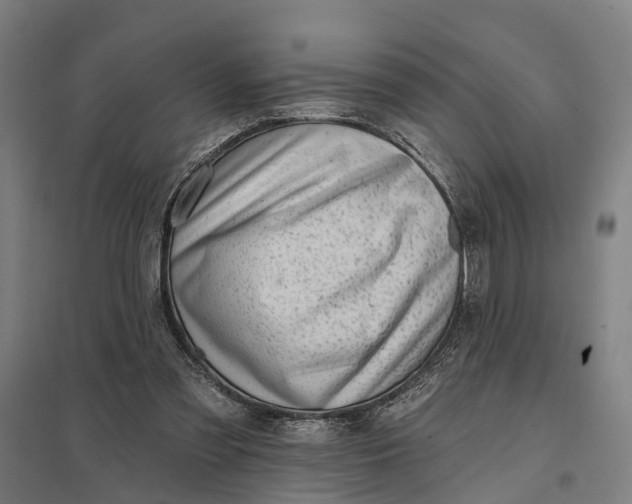 X0000097850301200803281255