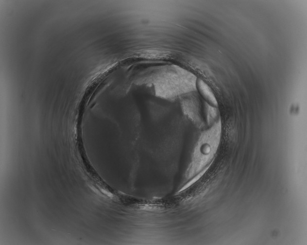 X0000097850303200803281255