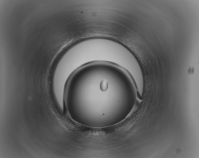 X0000097850304200803281255