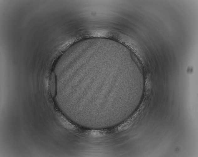 X0000097850305200803281255