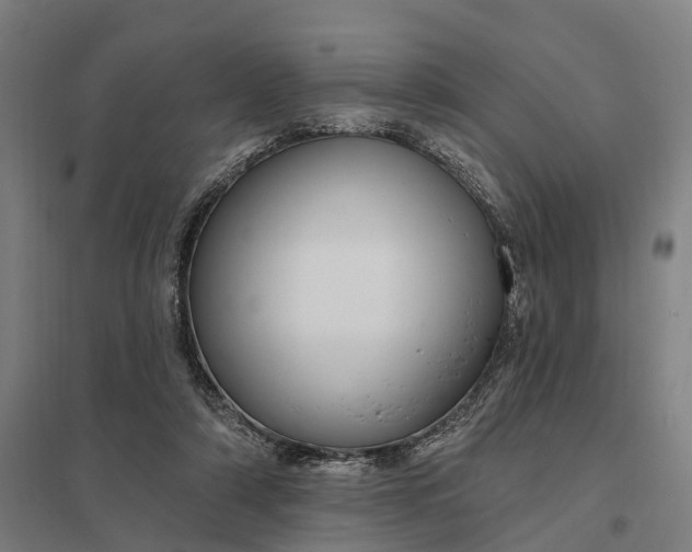 X0000097850306200803281255