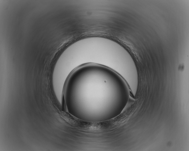 X0000097850308200803281255