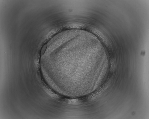 X0000097850309200803281255