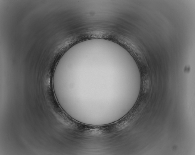 X0000097850310200803281255