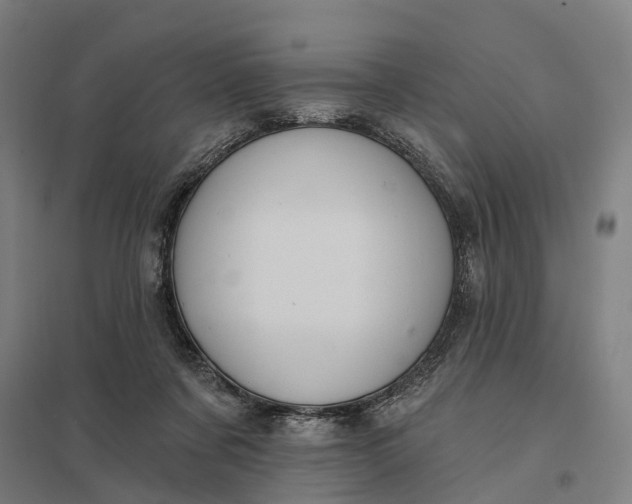 X0000097850311200803281255