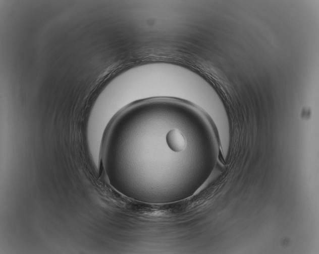 X0000097850312200803281255