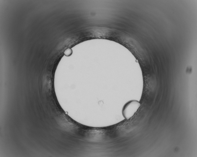 X0000097850313200803281255