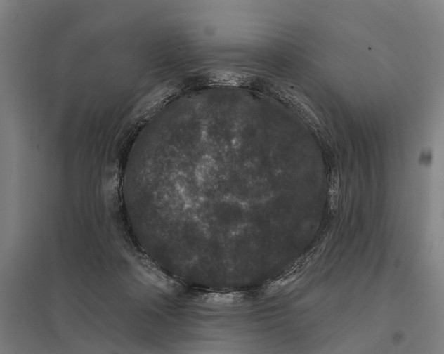 X0000097850314200803281255