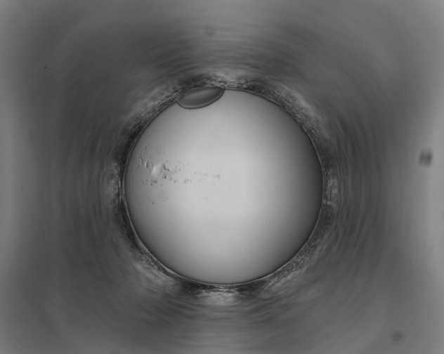 X0000097850318200803281255