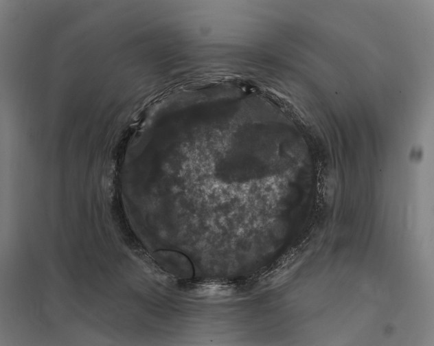 X0000097850319200803281255