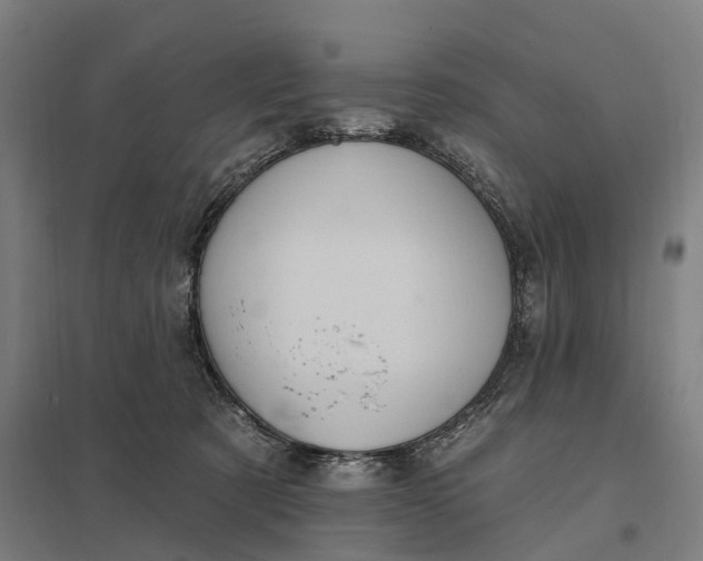 X0000097850321200803281255