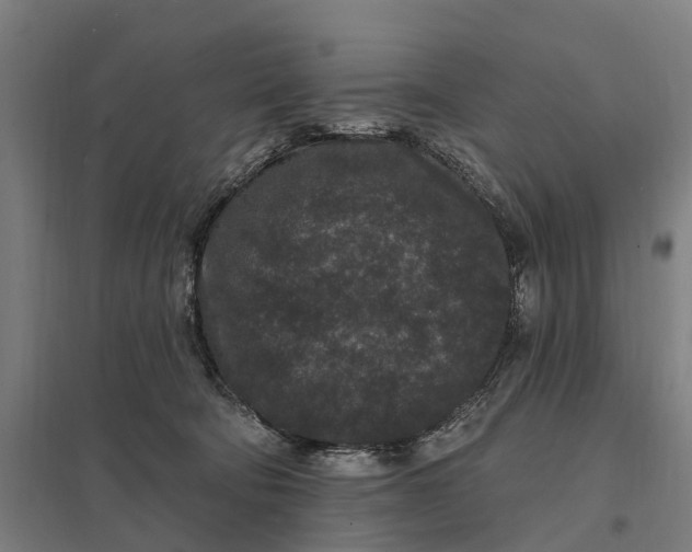 X0000097850322200803281255