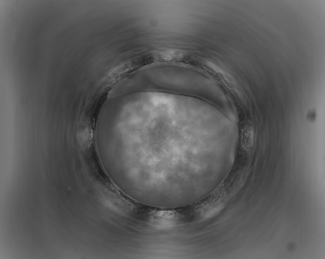 X0000097850324200803281255