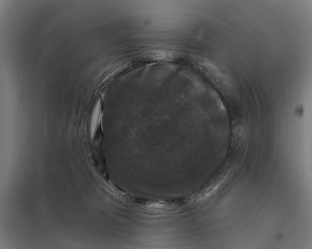 X0000097850325200803281255